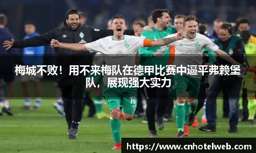 Bibo必博官网