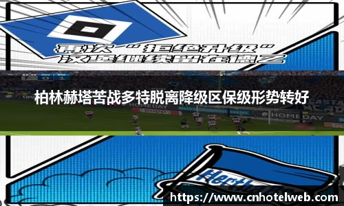 Bibo必博官网