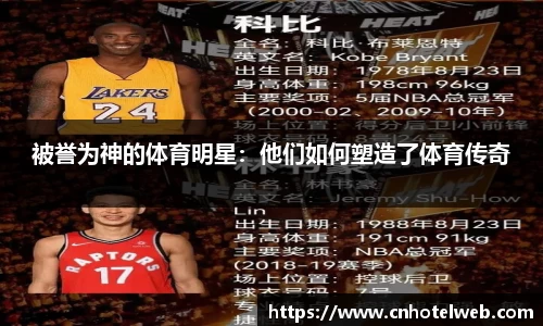 Bibo必博官方网站