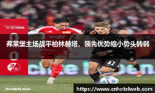Bibo必博
