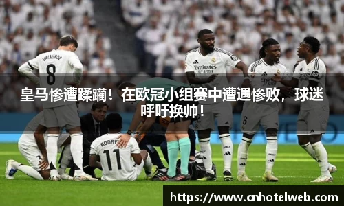 Bibo必博官网
