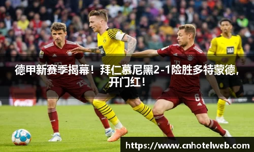Bibo必博