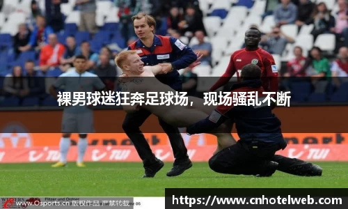 Bibo必博