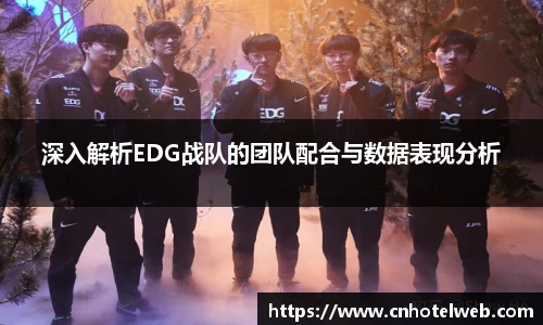 深入解析EDG战队的团队配合与数据表现分析