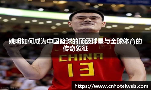 Bibo必博官方网站