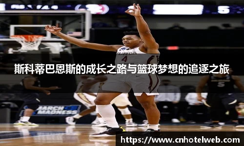 Bibo必博官网