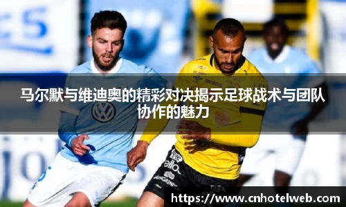 Bibo必博官网