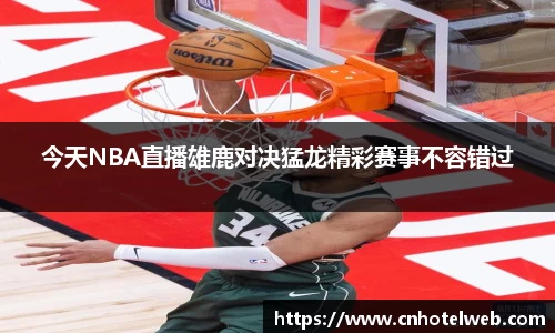 Bibo必博官方网站