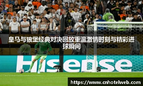 Bibo必博