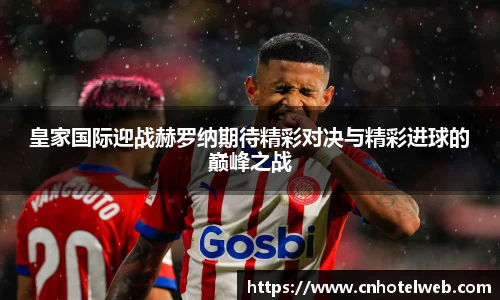 Bibo必博