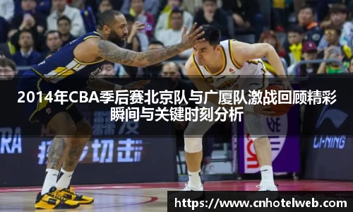 Bibo必博官网
