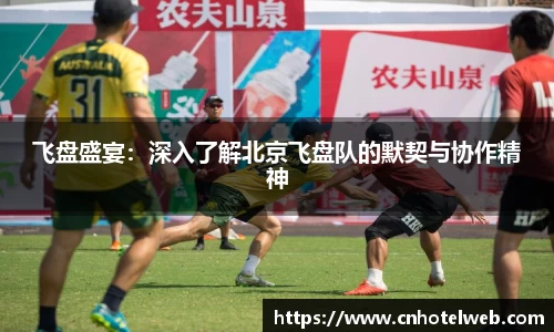 必博(中国)Bibo·官方网站
