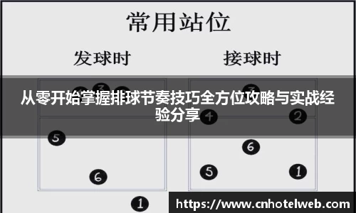 Bibo必博